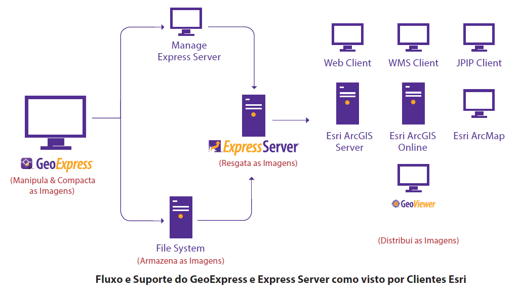 fluxo dados na rede